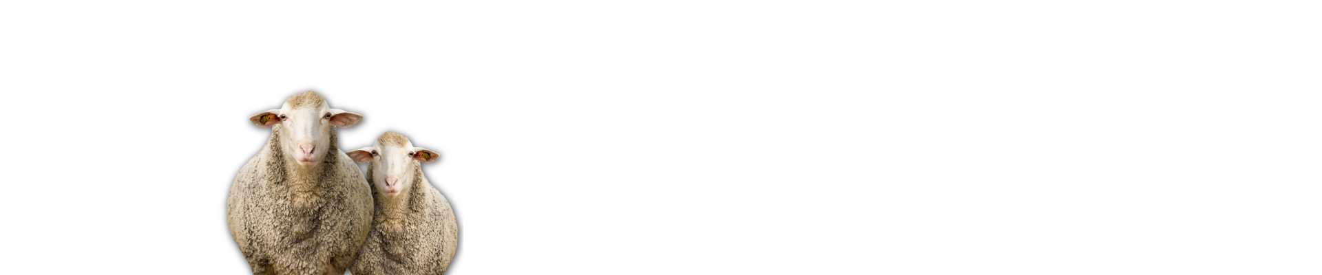 Product Fruit Livestock
